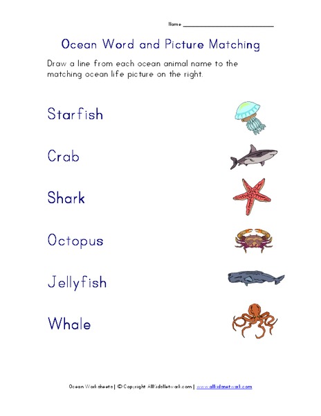 Ocean Word and Picture Matching Worksheet