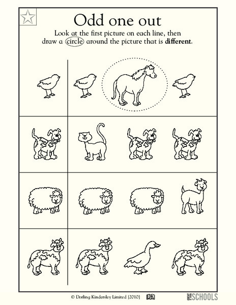 Odd One Out Worksheet