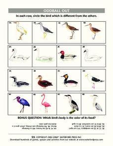 Oddball Out Lesson Plan