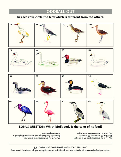 Oddball Out Lesson Plan