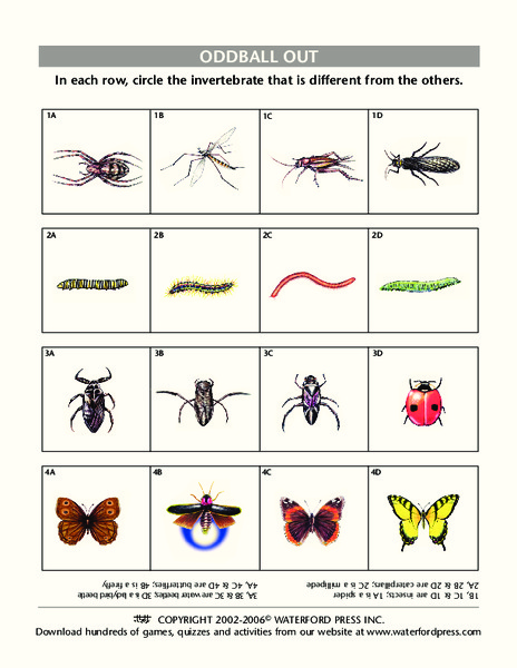 Oddball Out Lesson Plan