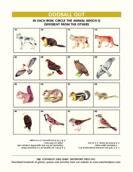Oddball Out: Animals Lesson Plan