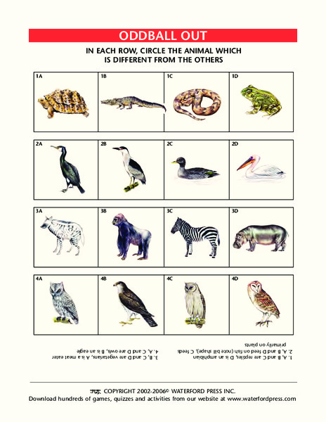 Oddball Out: Animals Lesson Plan