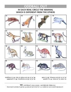 Oddball Out: Mammals Lesson Plan