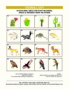 Oddball Out: Plants and Animals Lesson Plan