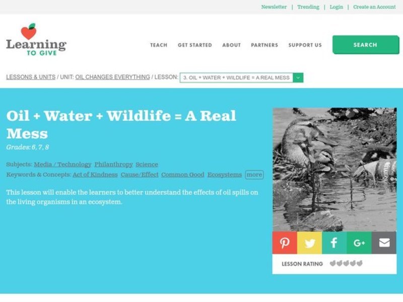 Oil + Water + Wildlife = A Real Mess Lesson Plan