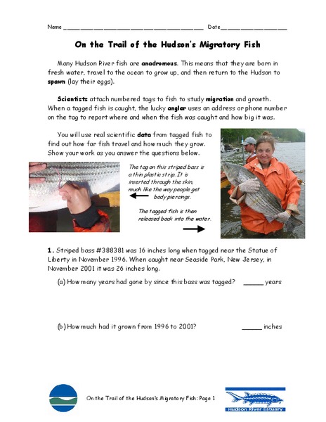 On the Trail of the Hudson's Migratory Fish Worksheet