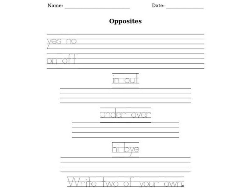 Opposites Worksheet
