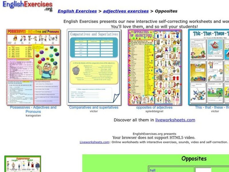 Opposites Interactive