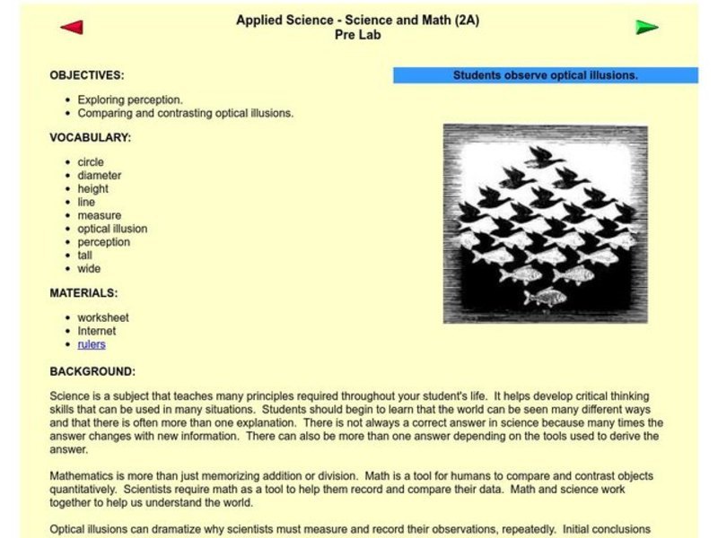 Optical Illusions Lesson Plan