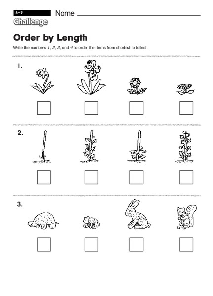 Order by Length Interactive