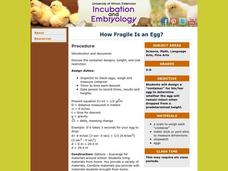 How Fragile Is an Egg? Lesson Plan