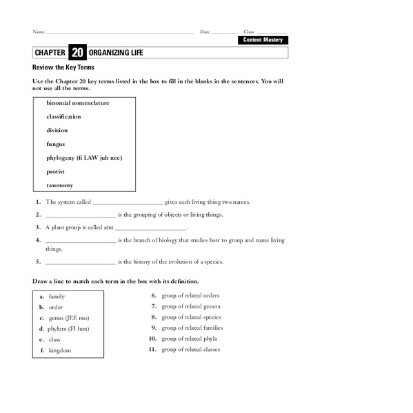 Organizing Life Worksheet