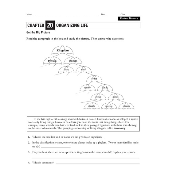 Organizing Life Worksheet