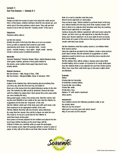 Our Five Senses Lesson Plan