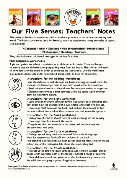 Our Five Senses Worksheet