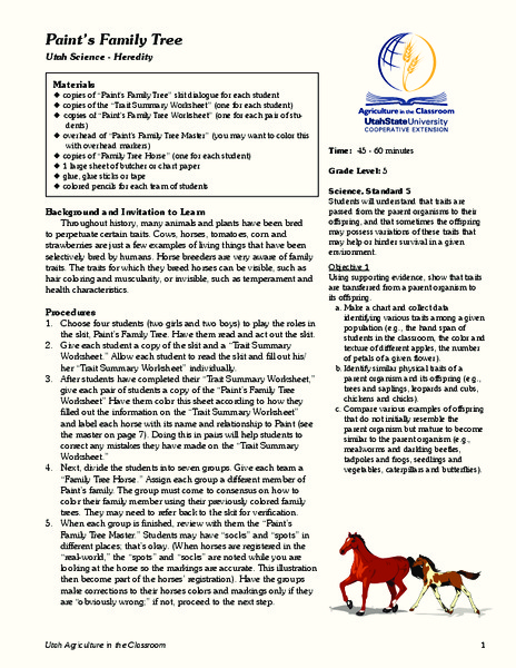 Paint's Family Tree Lesson Plan