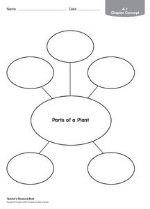 Parts of a Plant Organizer