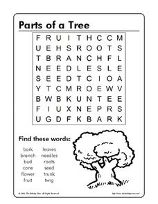 Parts of a Tree Worksheet