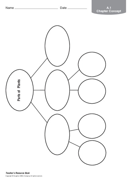 Parts of Plants Organizer
