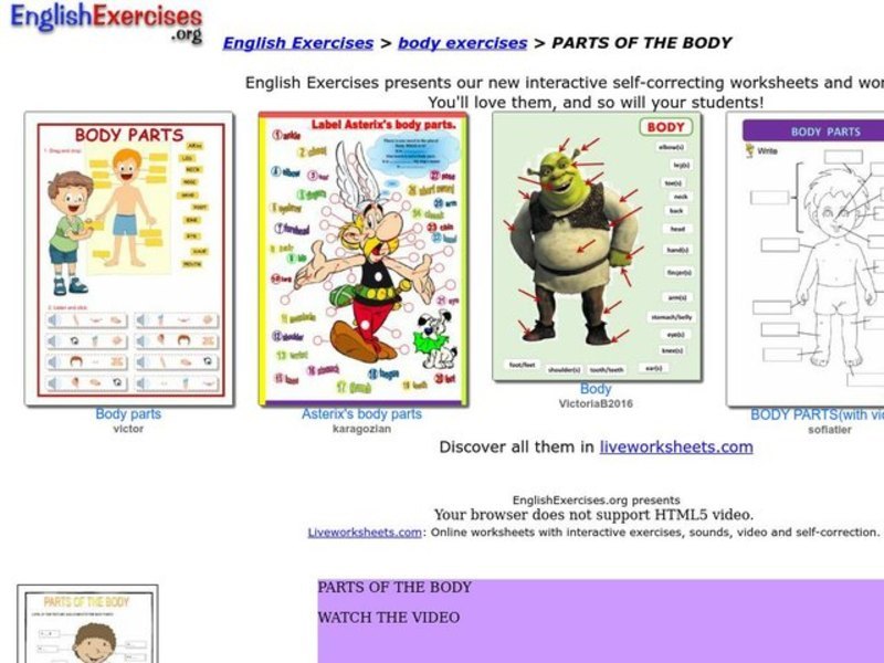 Parts of the Body Interactive