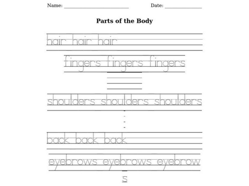 Parts of the Body Worksheet