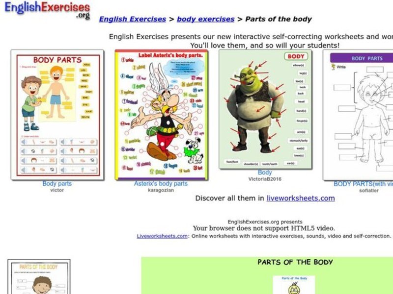 Parts of the Body Interactive