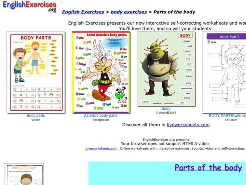 Parts of the Body Interactive