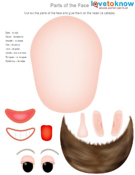 Parts of the Face Worksheet
