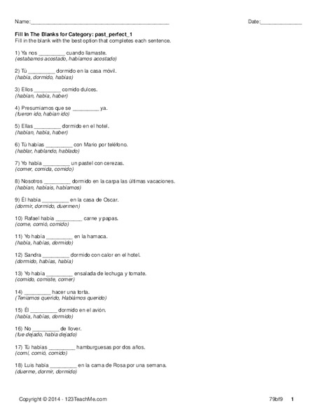 Past Perfect Lesson Plan