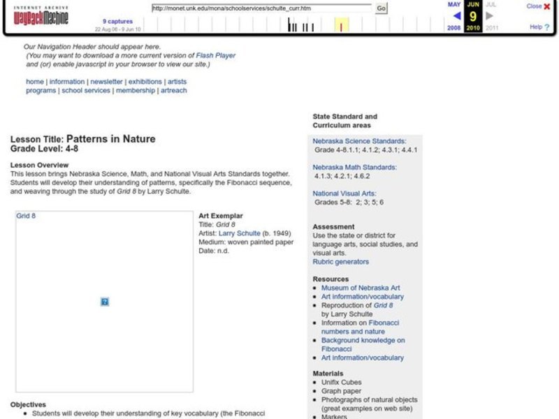 Patterns in Nature Lesson Plan