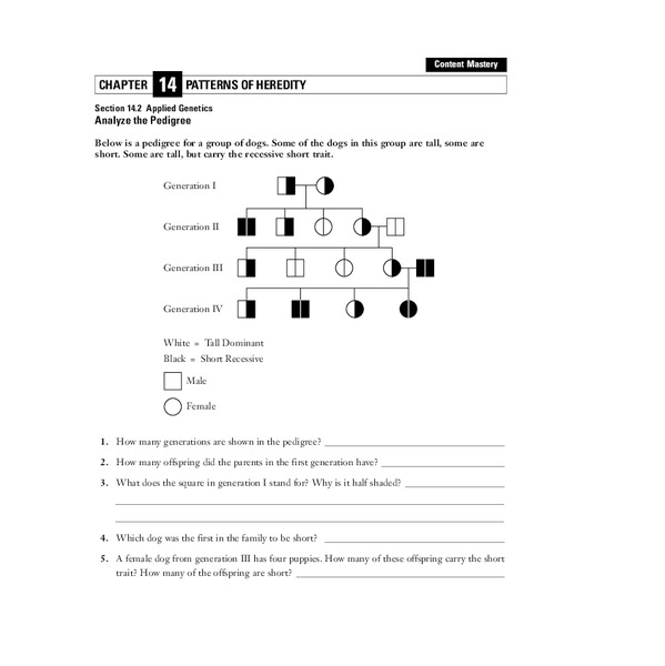 Patterns of Heredity Worksheet