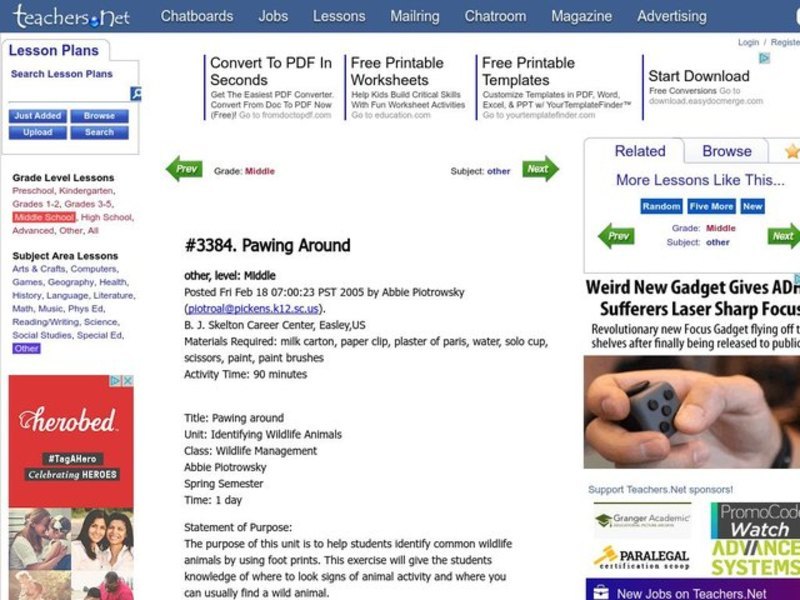 Pawing Around Lesson Plan