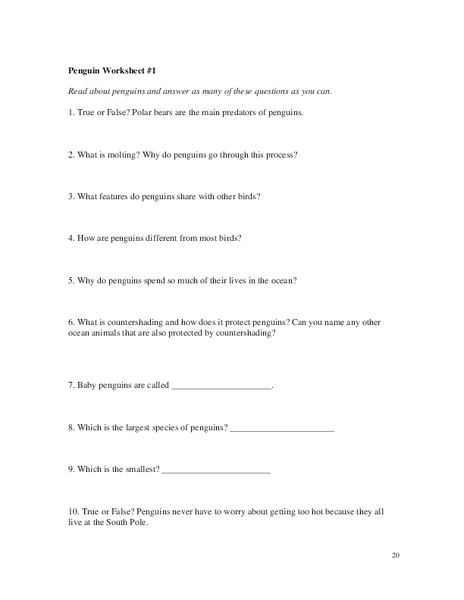 Penguin Worksheet Worksheet