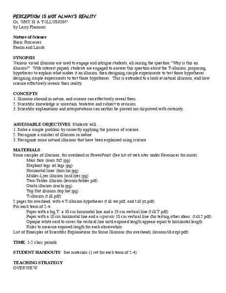 Perception is not Always Reality Lesson Plan