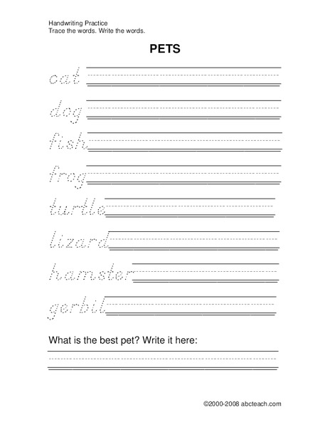 Pets Worksheet