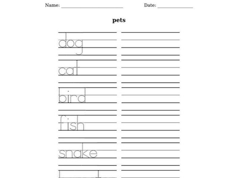 Pets Worksheet
