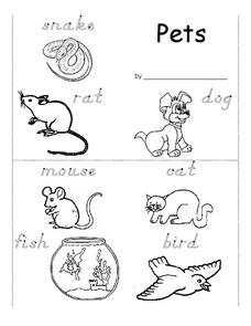 Pets Worksheet