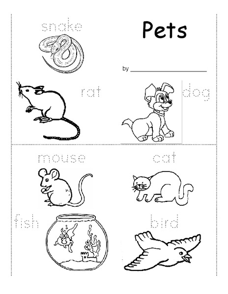 Pets Worksheet