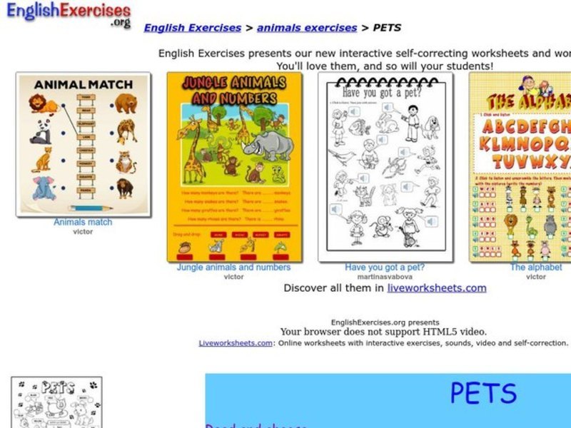 Pets Interactive