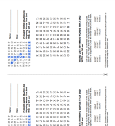 Phonics Word Search Lesson Plan