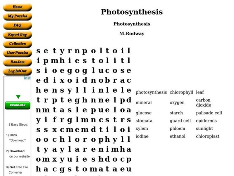 Photosynthesis Worksheet