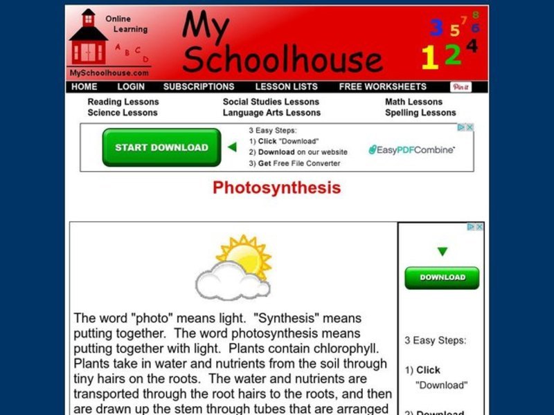 Photosynthesis Interactive