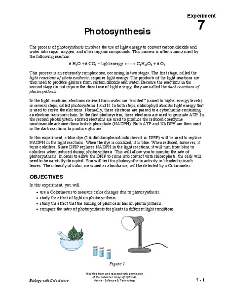 Photosynthesis Lesson Plan
