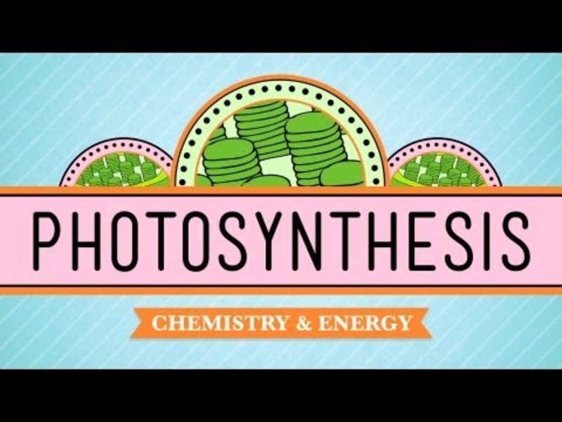 Photosynthesis Instructional Video