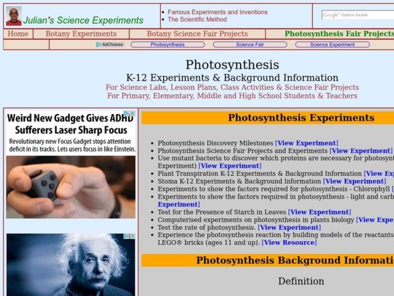 Photosynthesis Lesson Plan