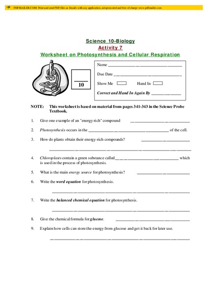 Photosynthesis and Cellular Respiration Lesson Plan