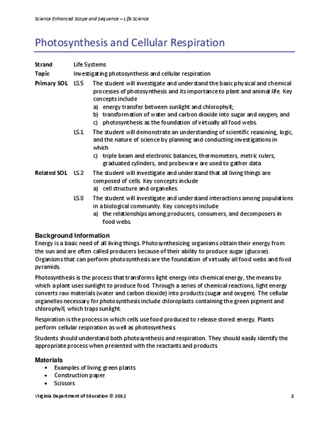 Photosynthesis and Cellular Respiration Lesson Plan