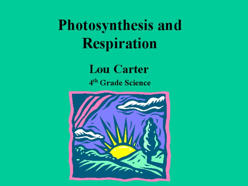Photosynthesis and Respiration Lesson Plan