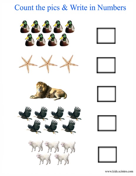Picture Counting Worksheet